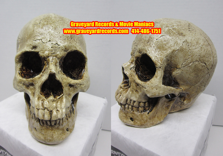 Life Like Human Skull # 2 - Closed Mouth